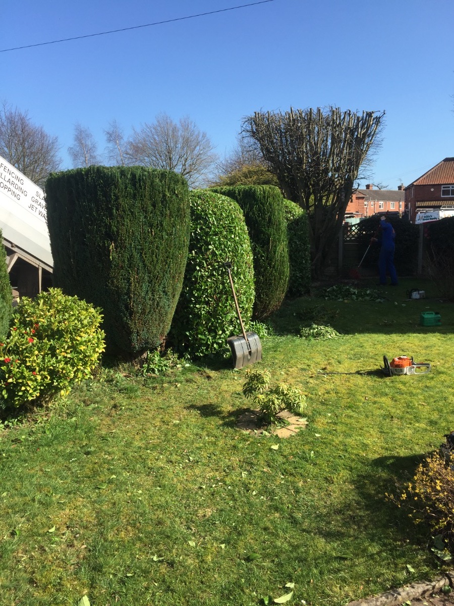 Gardener: Image 9
